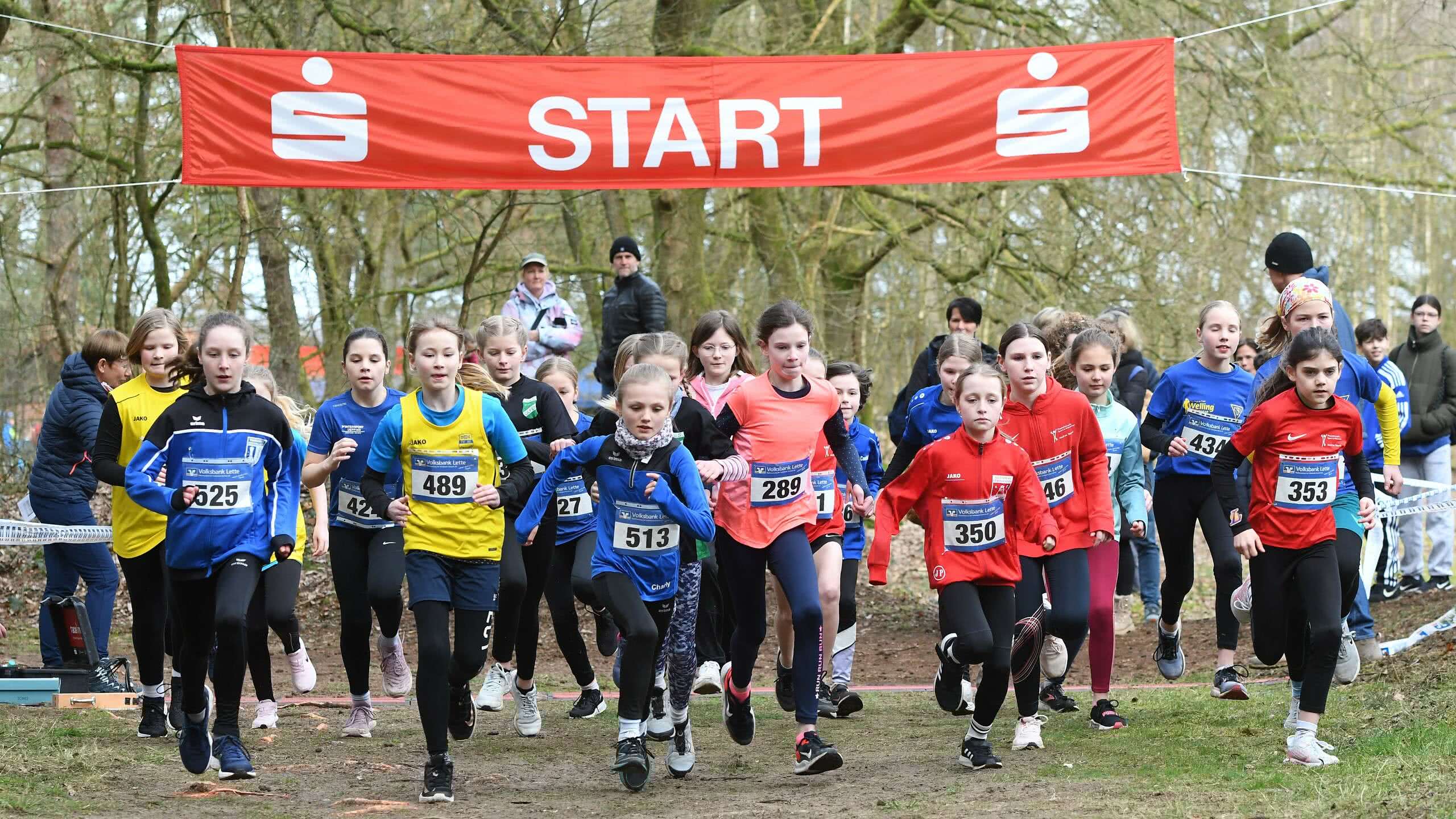 Kreiswaldlaufmeisterschaften Lette (2) Start