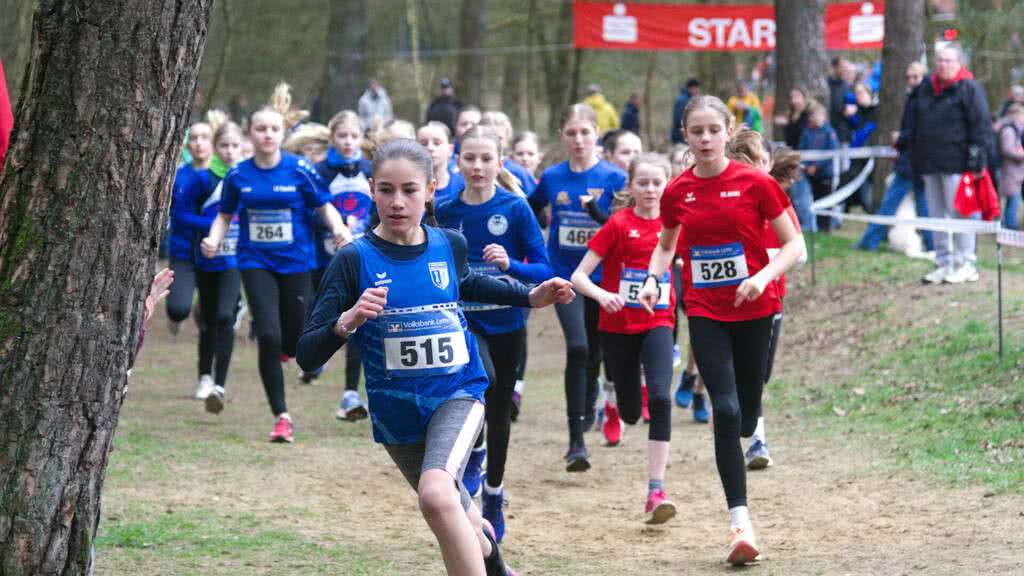 Start der Weiblichen Jugend U14 bei den Kreiswaldlaufmeisterschaften in Coesfeld-Lette