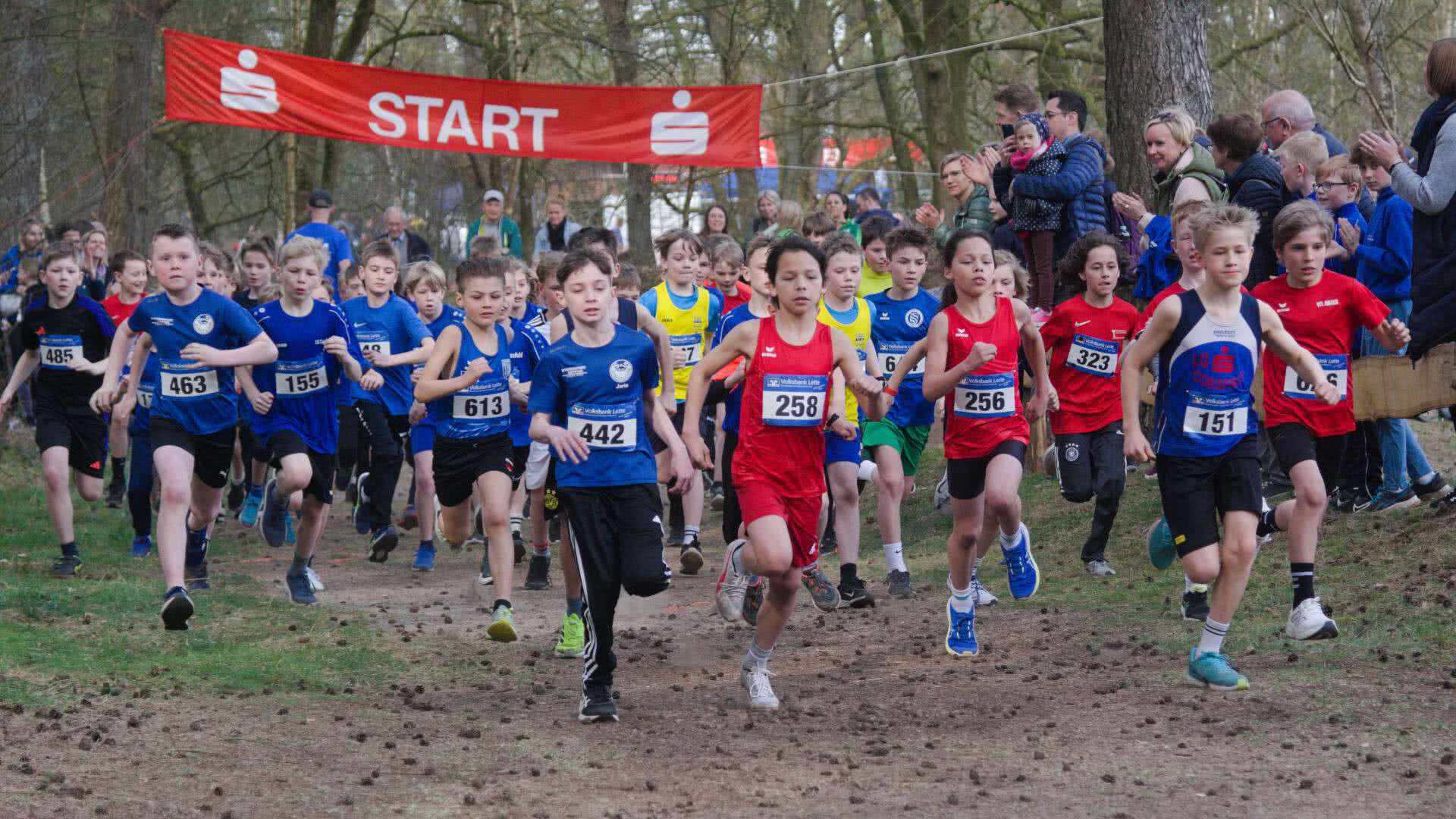 Start der männlichen Jugend U12 bei den Kreiswaldlaufmeisterschaften 2025