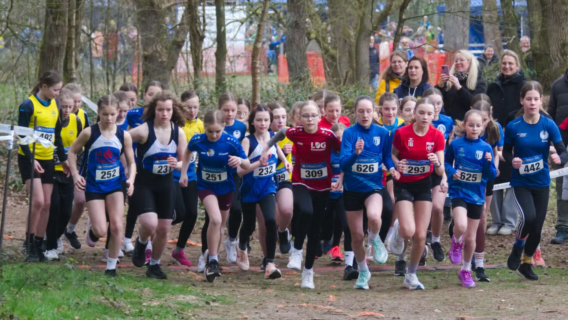 Start der weiblichen Jugend U14 bei den Kreiswaldlaufmeisterschaften 2026