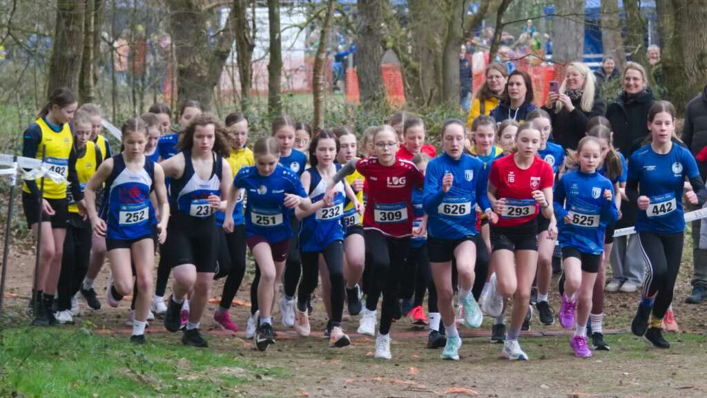 Start der weiblichen Jugend U14 bei den Kreiswaldlaufmeisterschaften 2026