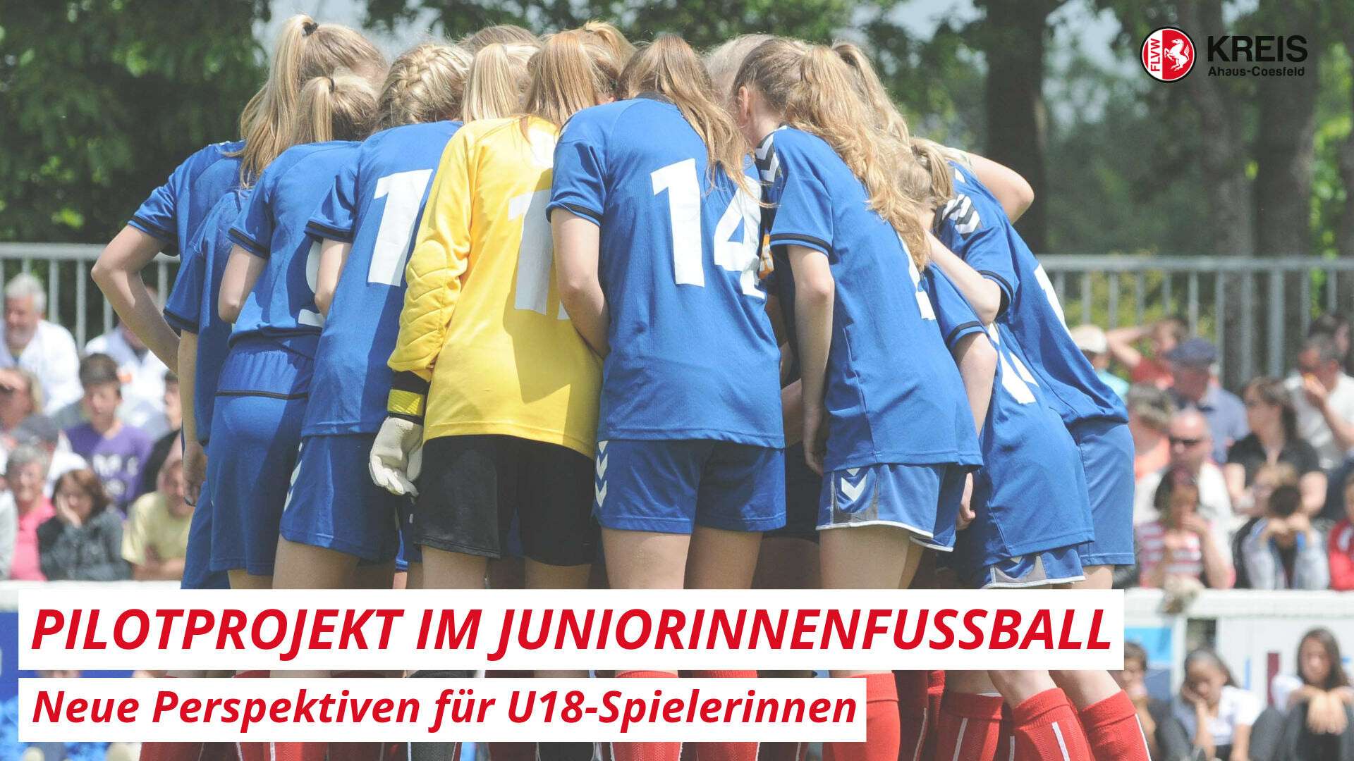 Pilotprojekt „U18-Spielerinnen bei den B-Juniorinnen“